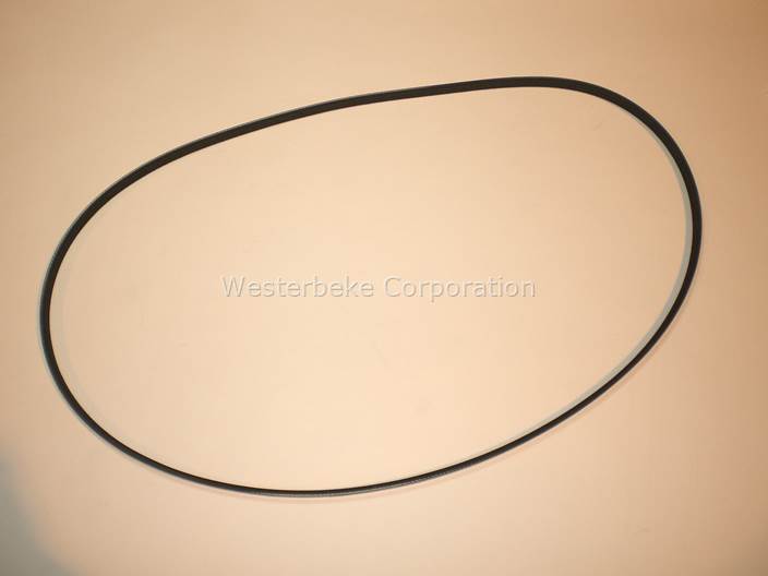 Westerbeke 46026 BELT,POLY-V 3GR 52.25