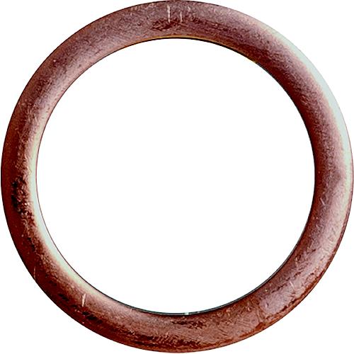 Gasket, Crankcase Drain Sierra 18-0755
