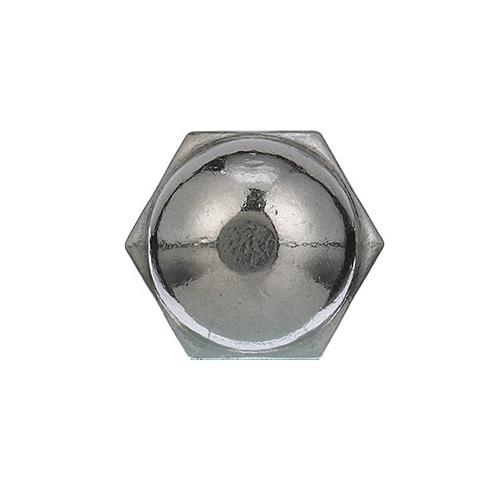 Acorn Cap Nuts, SS, 10-32, 00586