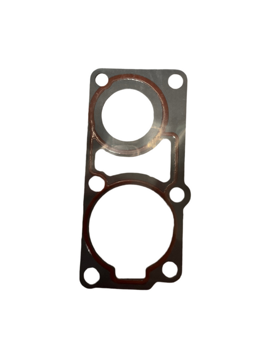 Fuel Pump Module Top Gasket