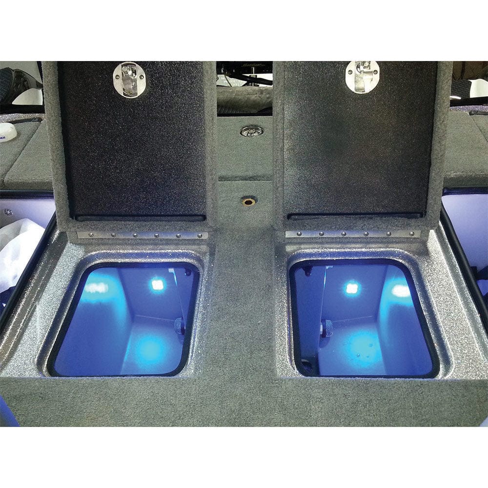 T-H BLUEWATERLED Quad Beam Livewell & Cooler Light Pair- Blue