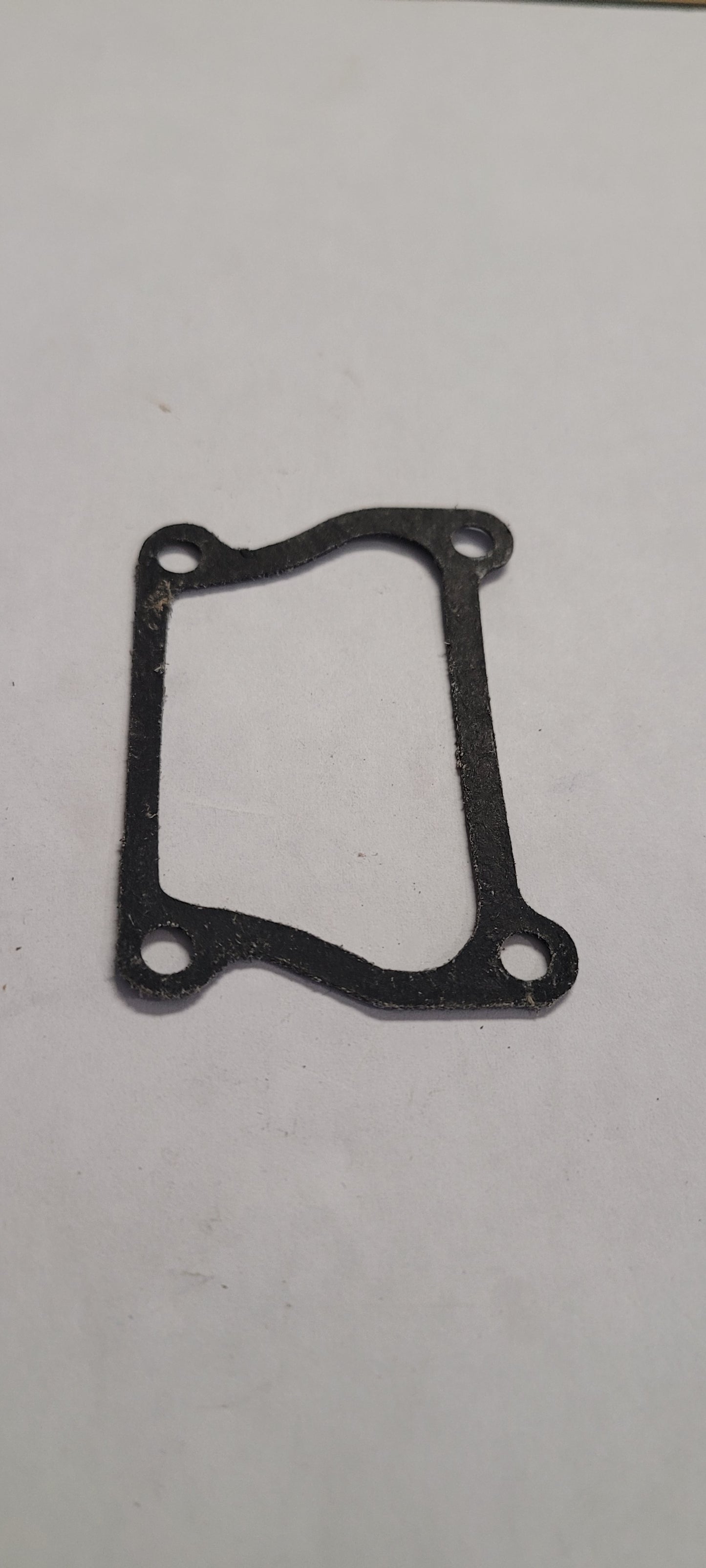 Gasket, Vintage, (NOS) 202528