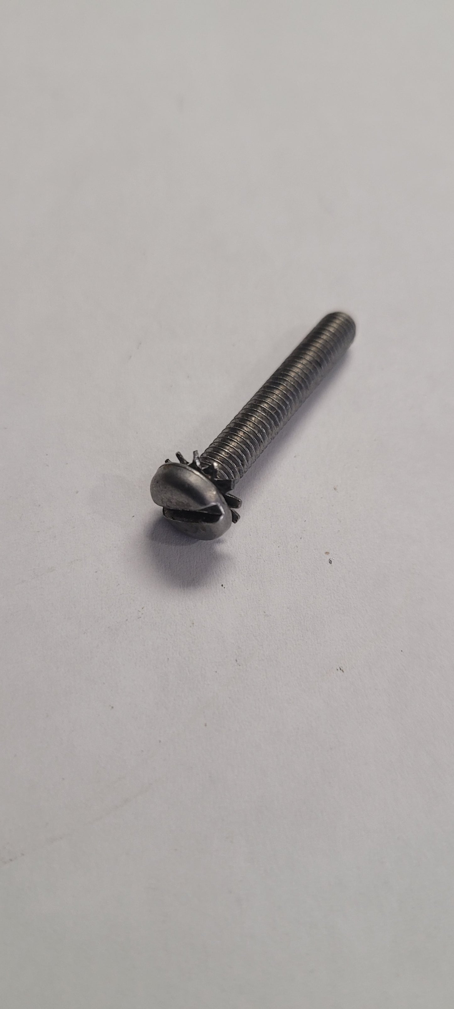 Screw, Shift Cable Retainer, Omc 310686 Vintage (NOS)