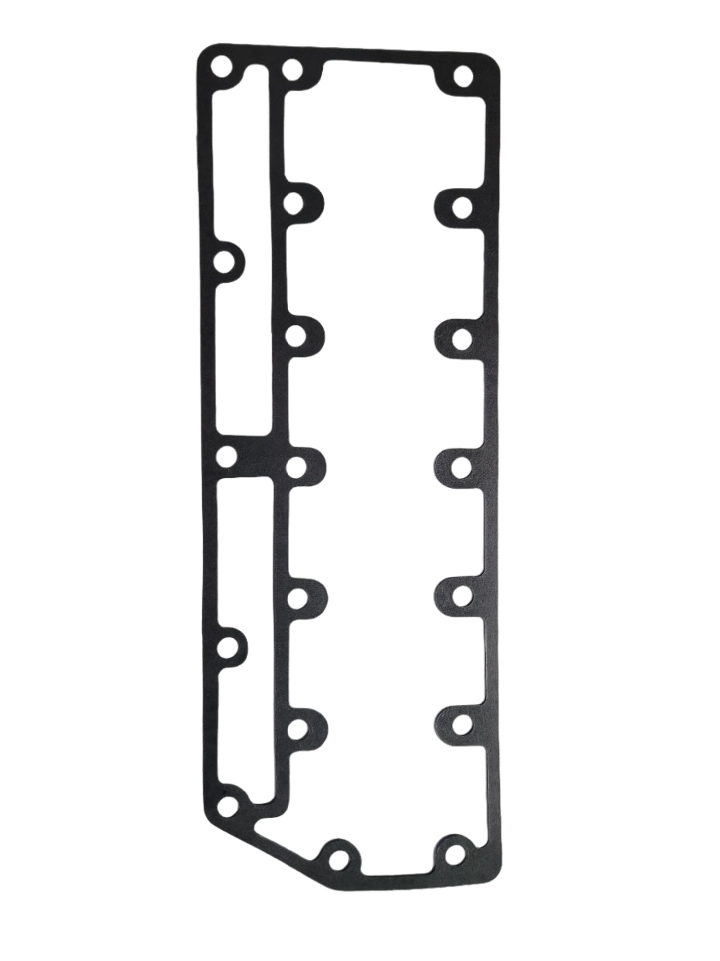 313405 Exhaust Cover Gasket