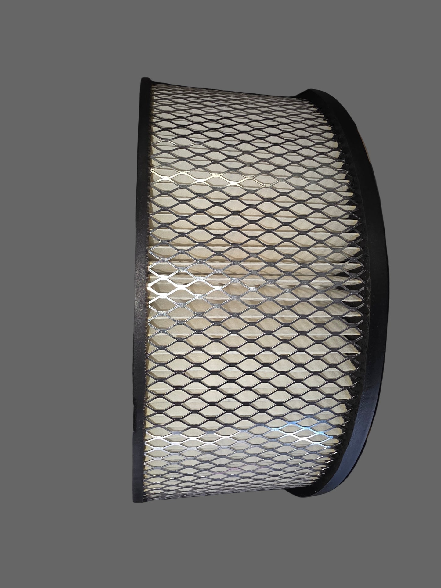 Donaldson P528216 Air Filter