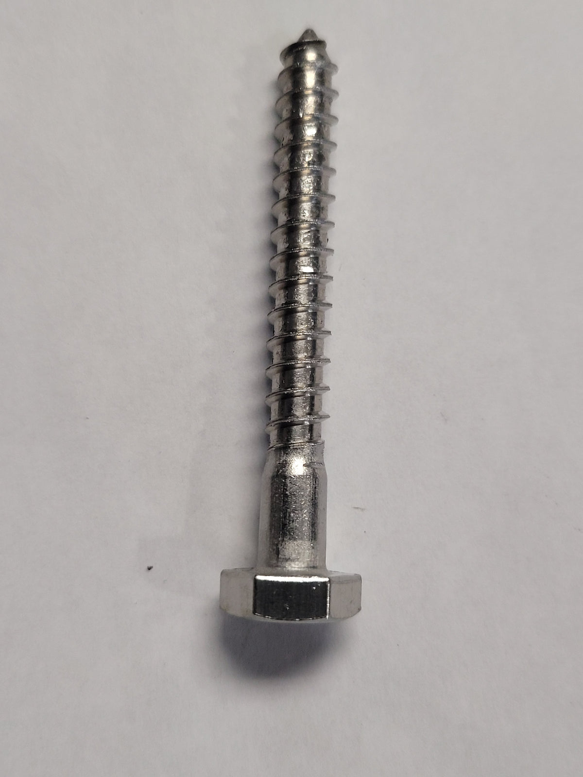 Lag Screw, SS, 5/16x3", 4-1194