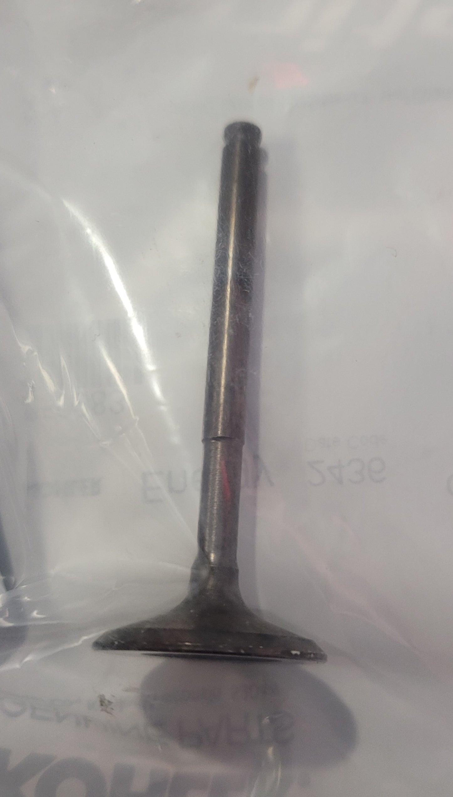 Kohler 359983 OEM Intake Valve