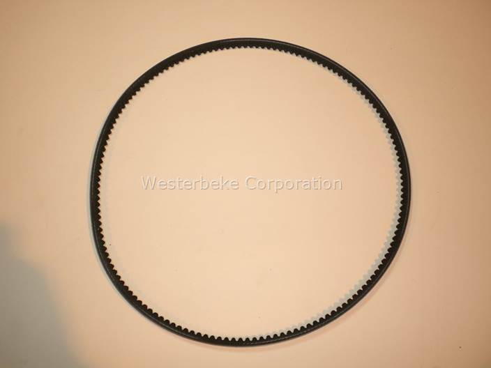 Westerbeke 30592 BELT
