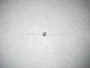 Westerbeke 36926 Shim (Each)