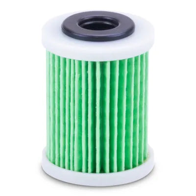 Fuel Filter, Sierra 18-79809