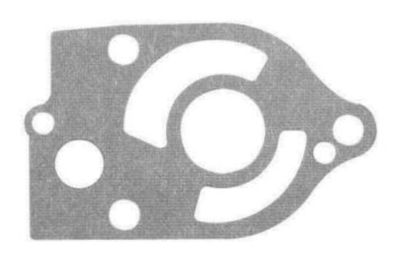 Gasket, Lower Water Pump, Sierra 18-2823