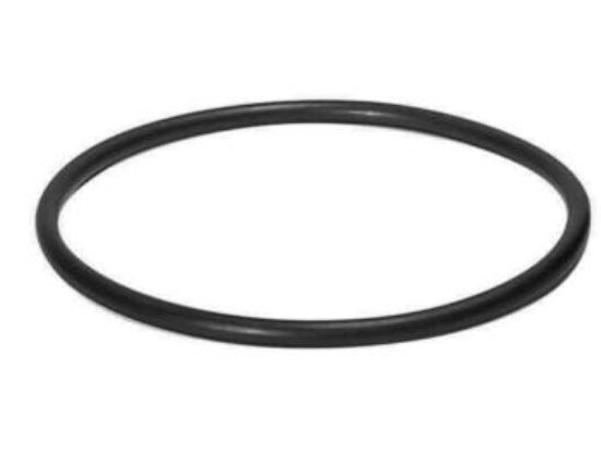 O-Ring, Quicksilver 20863