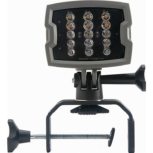 Portable LED light