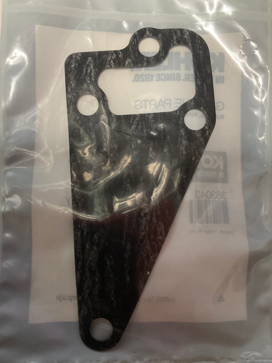 Circ Pump Gasket 363043