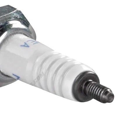 NGK 3810 B8S Nickel Spark Plug