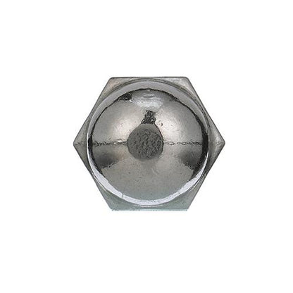 Acorn Cap Nuts, SS, 10-32, 00586