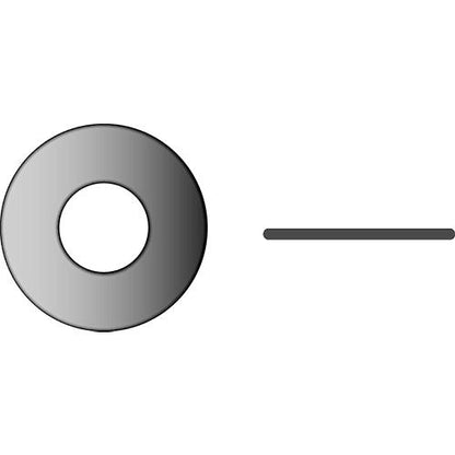 Flat Washer, 5/16", SS, 00968