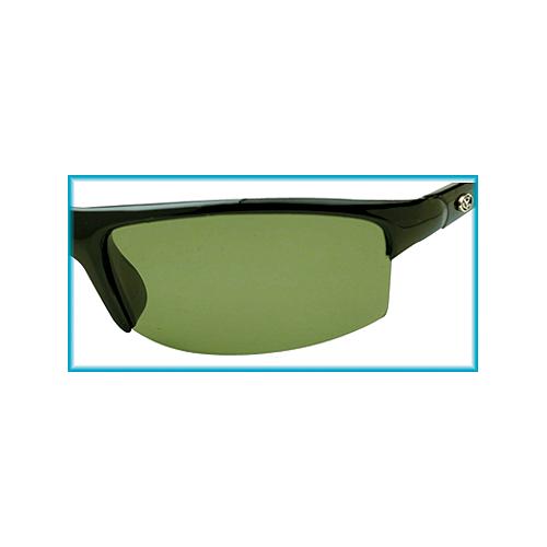 Snook Polarized Sunglasses