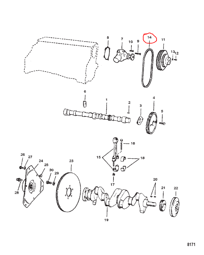 V Belt 40 IN