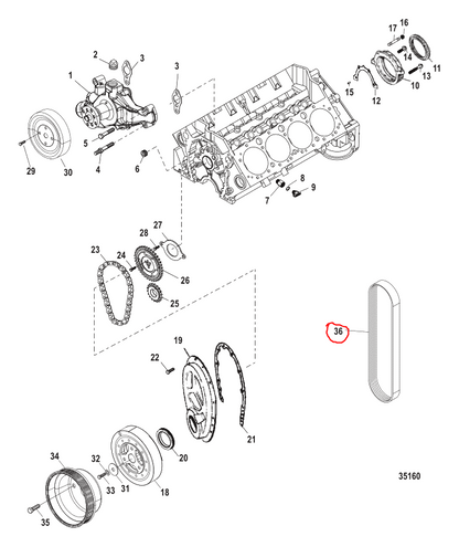 Serp Belt, Quicksilver 861757Q