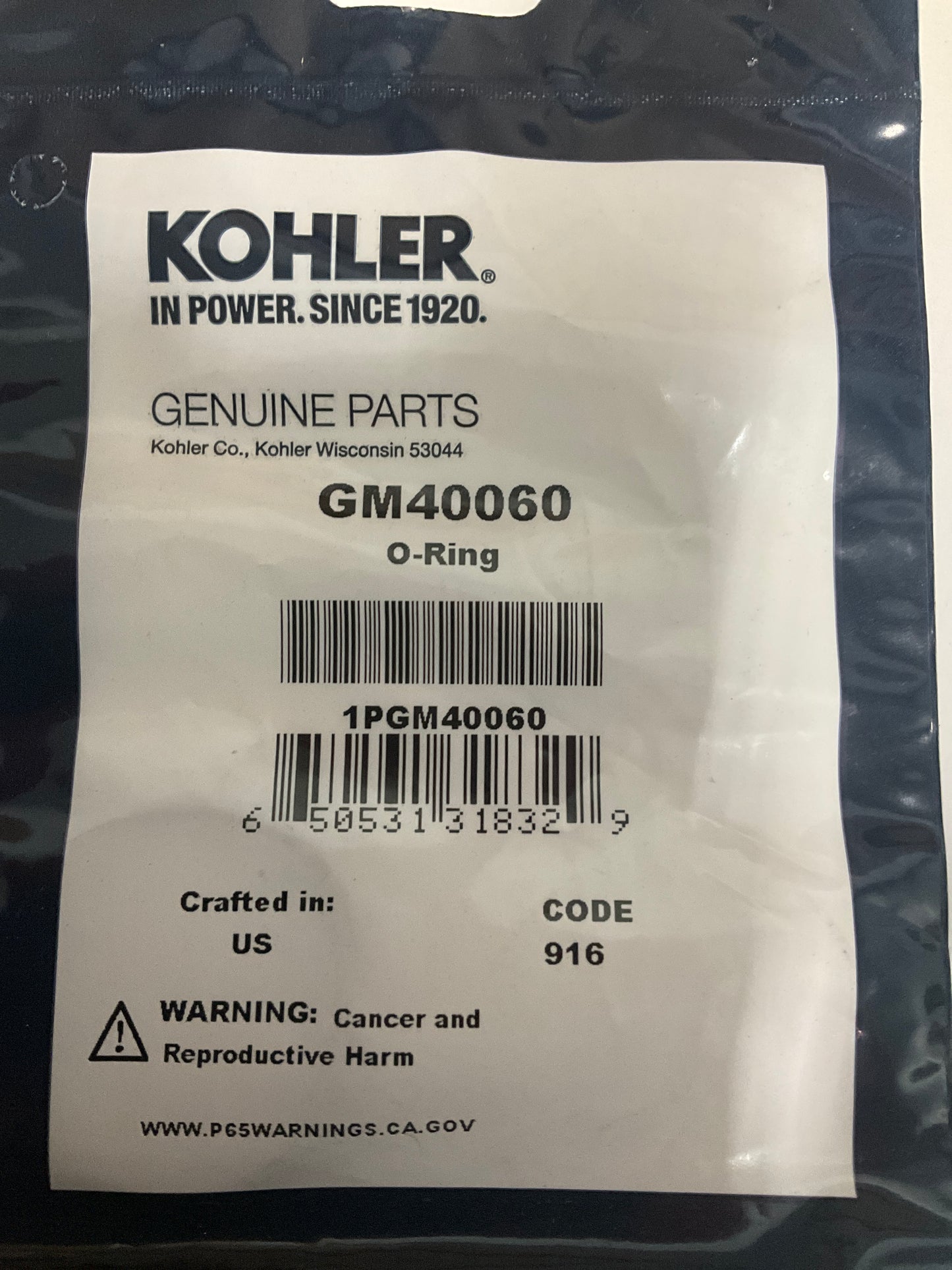 Kohler GM40060 ECD Catalyst O-Ring