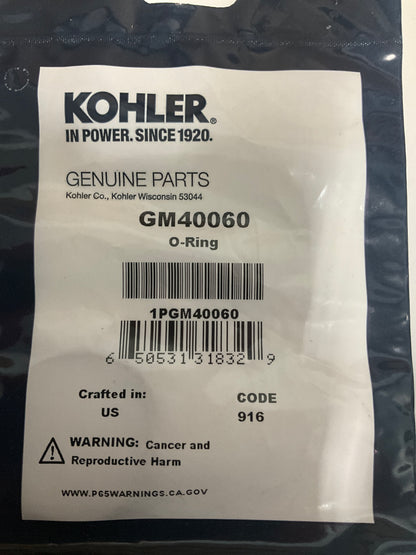 Kohler GM40060 ECD Catalyst O-Ring