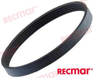 RECMAR Belt REC3860092