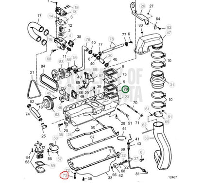 Screw, OMC 3853171, (NOS)
