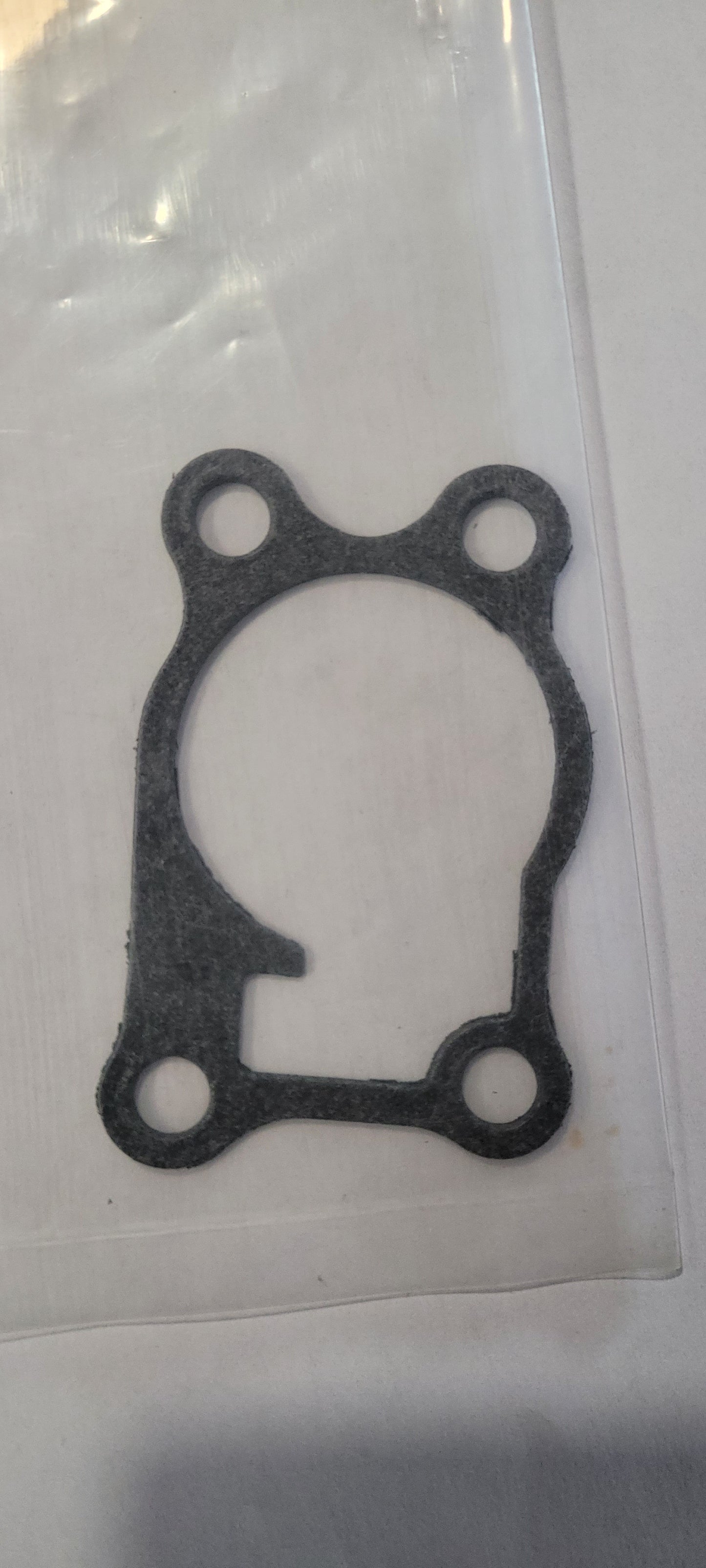 Gasket, Impeller Housing, 778154
