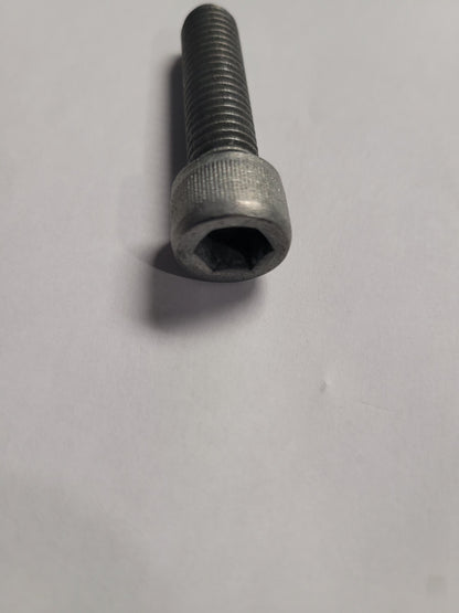 Screw-Anode
