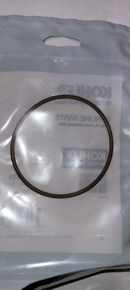 Kohler GM40061 ECD Catalyst O-ring