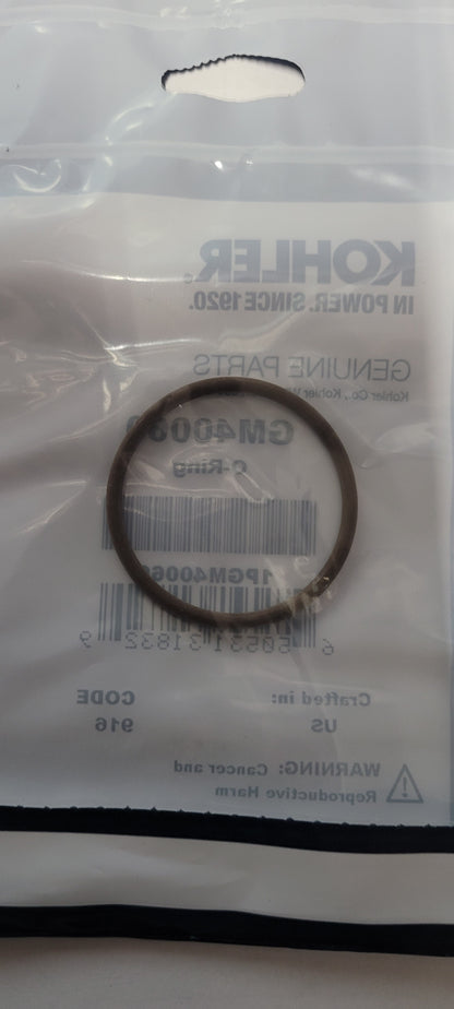 Kohler GM40060 ECD Catalyst O-Ring