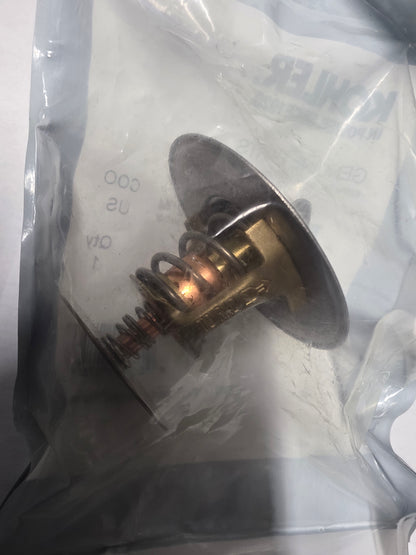 Kohler GM47556 T-stat