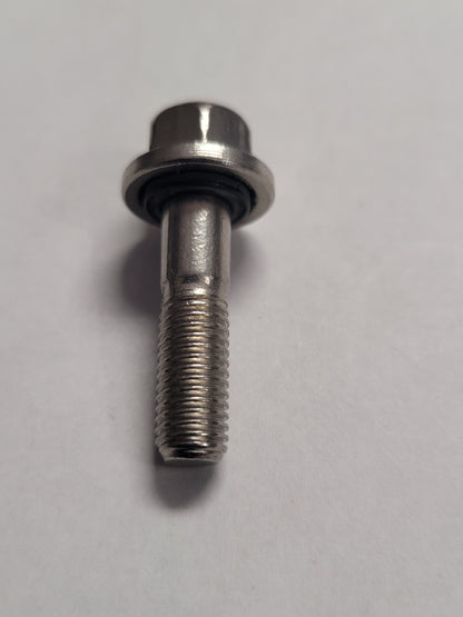 Screw, OMC 316563, (NOS)