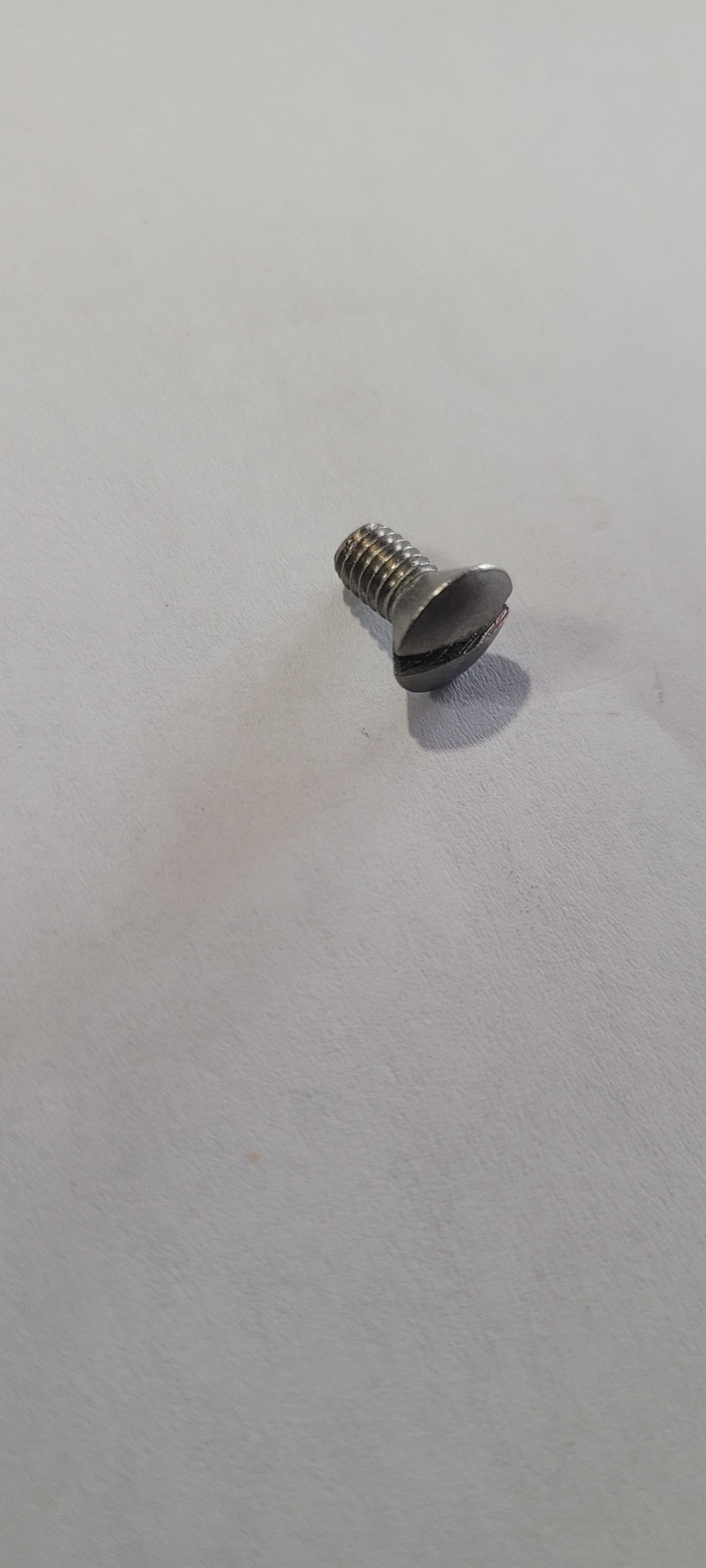 Screw, Omc, 318238 (NOS)