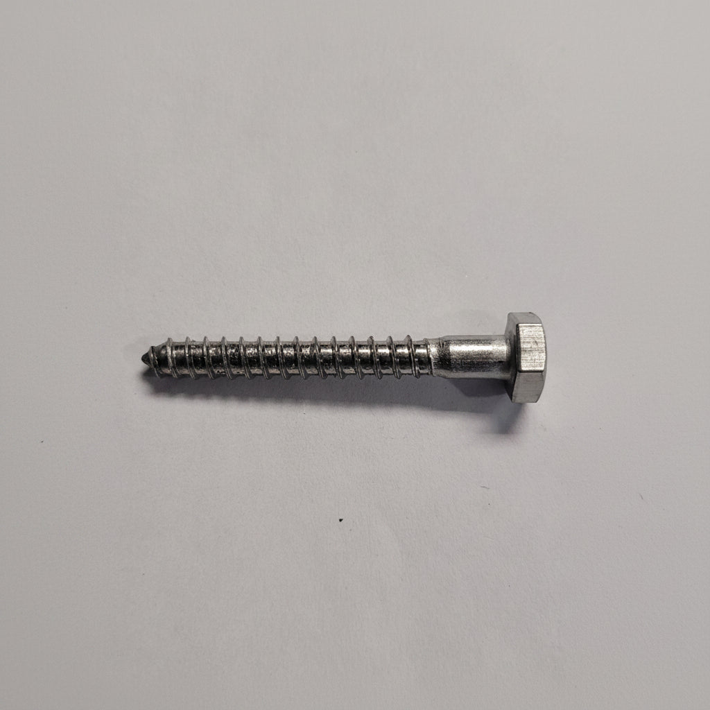Lag Screw, SS, 1/4x2", 4-1183