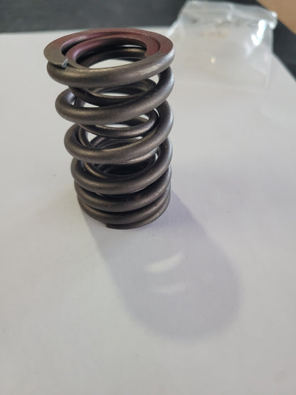 Spring & DMP Asm Vlv Crusader 31040 (NOS)