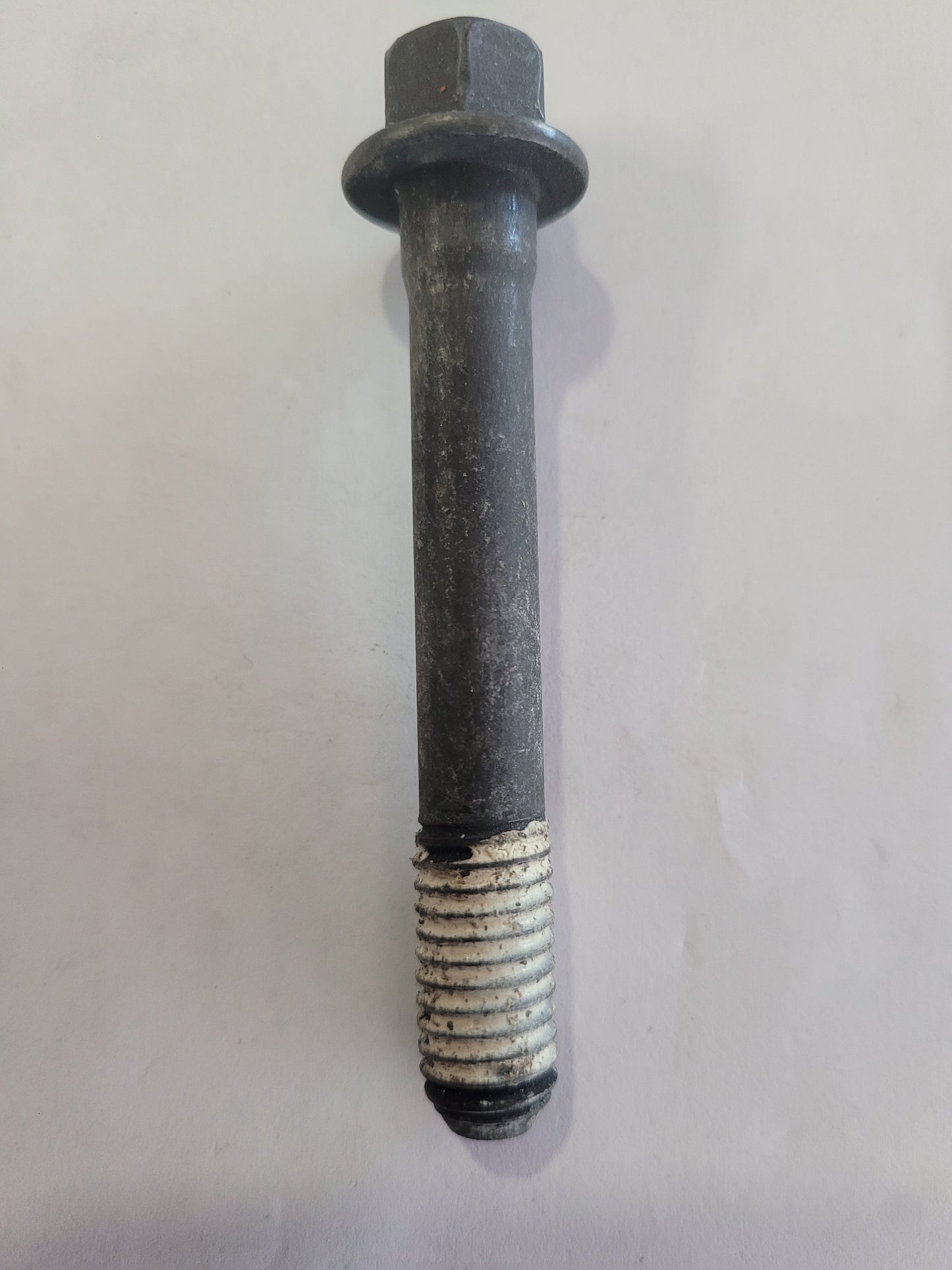Bolt, Cyl. Head Medium Crusader 7057300