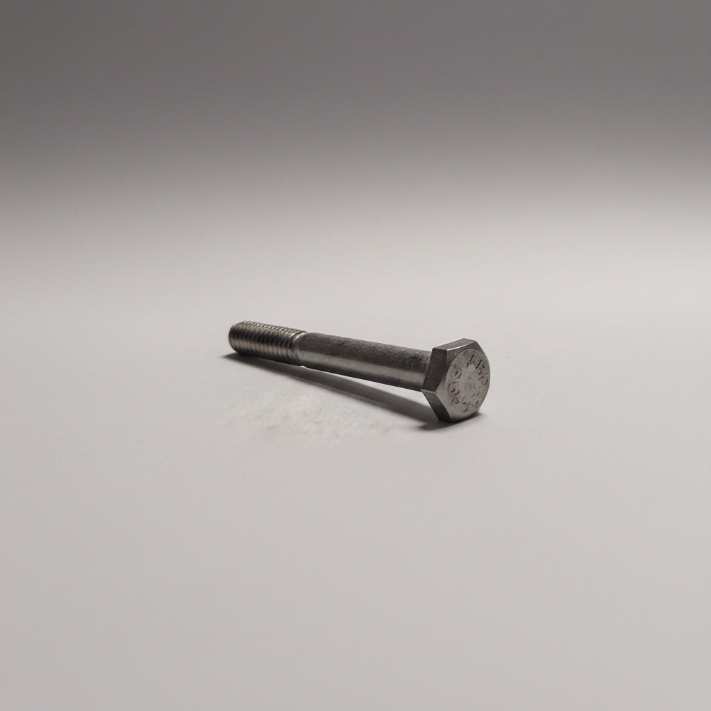Cap Screw, SS, Hex Head, 1/4"-20x2", 4-0809