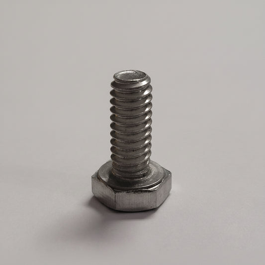 Cap Screw, Hex Head, SS, M6-1x10
