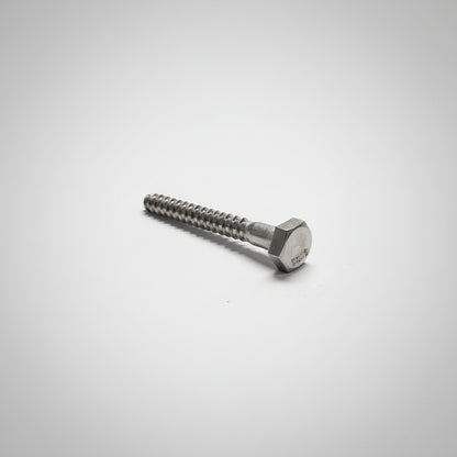 Lag Screw, SS, 1/4x2", 4-1183