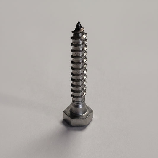 Lag Screw, SS, 5/16x2", 4-1192