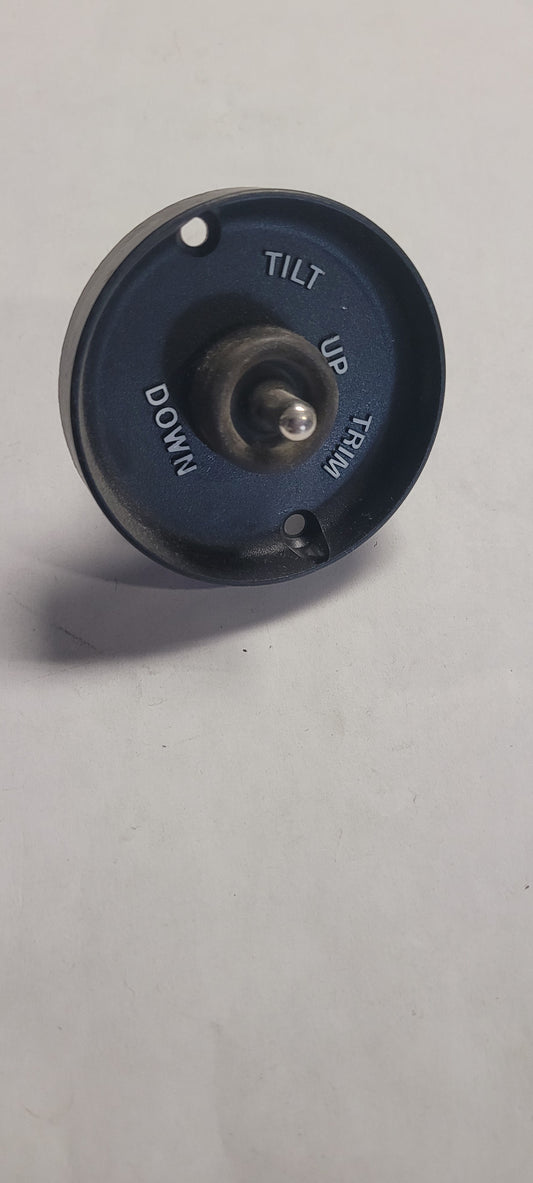 Trim And Tilt Switch Assy, 172899